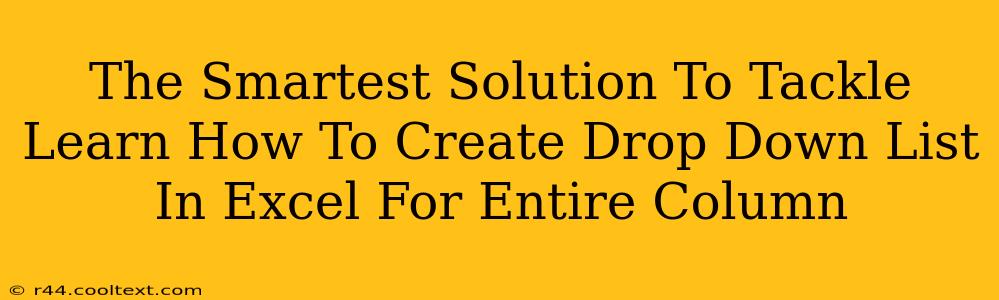 The Smartest Solution To Tackle Learn How To Create Drop Down List In Excel For Entire Column