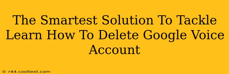 The Smartest Solution To Tackle Learn How To Delete Google Voice Account