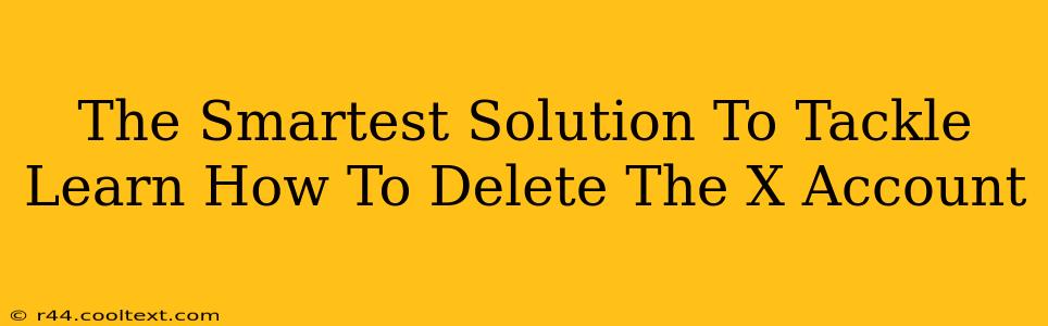 The Smartest Solution To Tackle Learn How To Delete The X Account