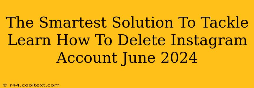 The Smartest Solution To Tackle Learn How To Delete Instagram Account June 2024