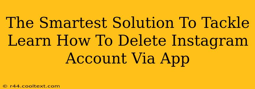 The Smartest Solution To Tackle Learn How To Delete Instagram Account Via App