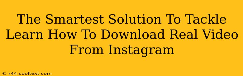 The Smartest Solution To Tackle Learn How To Download Real Video From Instagram