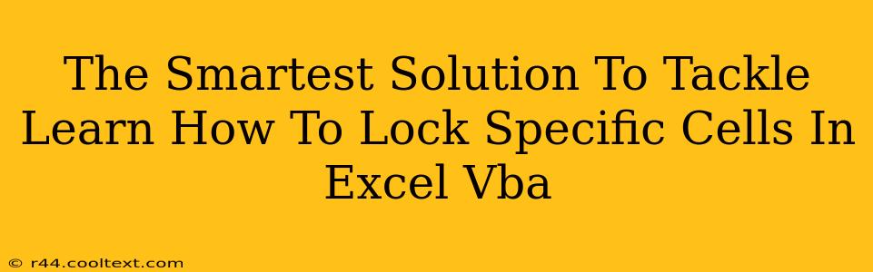 The Smartest Solution To Tackle Learn How To Lock Specific Cells In Excel Vba