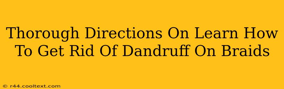 Thorough Directions On Learn How To Get Rid Of Dandruff On Braids