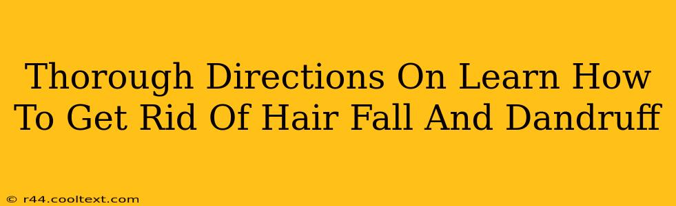 Thorough Directions On Learn How To Get Rid Of Hair Fall And Dandruff