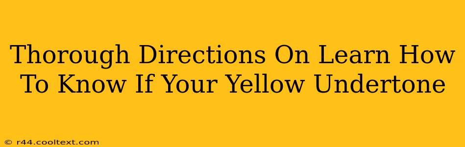 Thorough Directions On Learn How To Know If Your Yellow Undertone