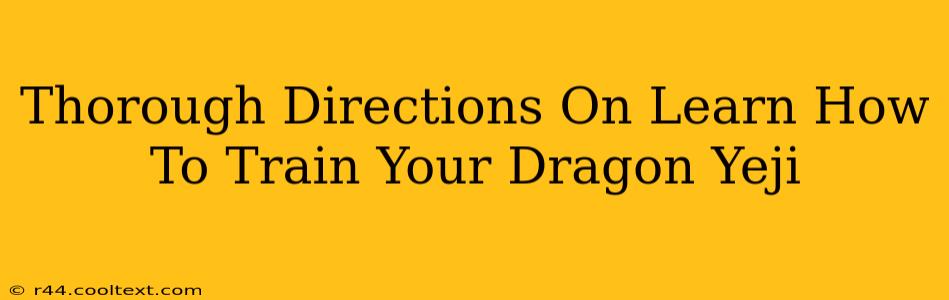 Thorough Directions On Learn How To Train Your Dragon Yeji