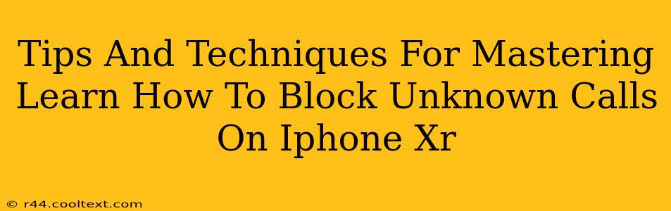 Tips And Techniques For Mastering Learn How To Block Unknown Calls On Iphone Xr