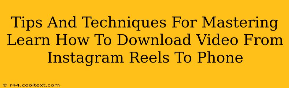 Tips And Techniques For Mastering Learn How To Download Video From Instagram Reels To Phone