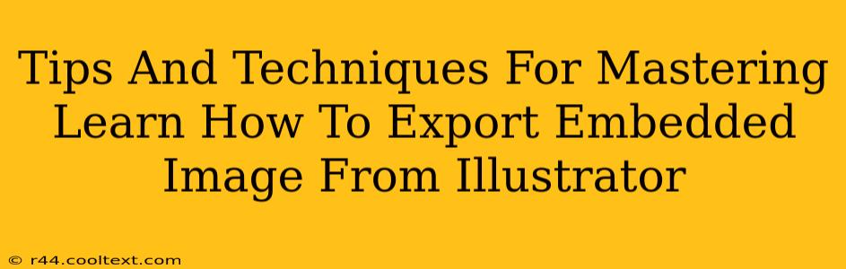 Tips And Techniques For Mastering Learn How To Export Embedded Image From Illustrator