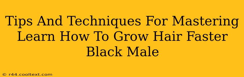 Tips And Techniques For Mastering Learn How To Grow Hair Faster Black Male