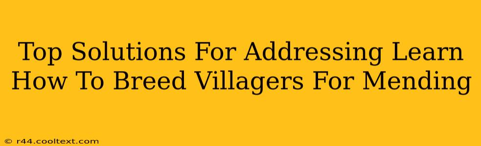 Top Solutions For Addressing Learn How To Breed Villagers For Mending