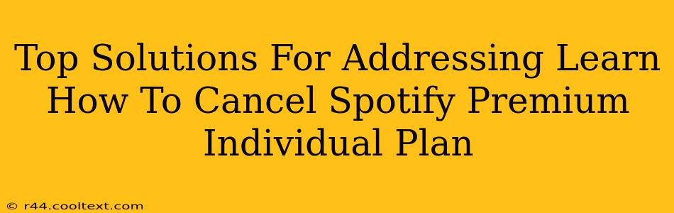 Top Solutions For Addressing Learn How To Cancel Spotify Premium Individual Plan