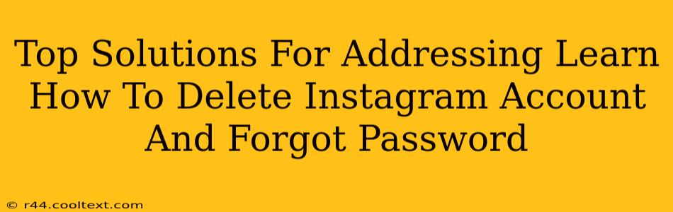 Top Solutions For Addressing Learn How To Delete Instagram Account And Forgot Password