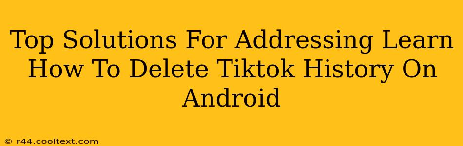 Top Solutions For Addressing Learn How To Delete Tiktok History On Android