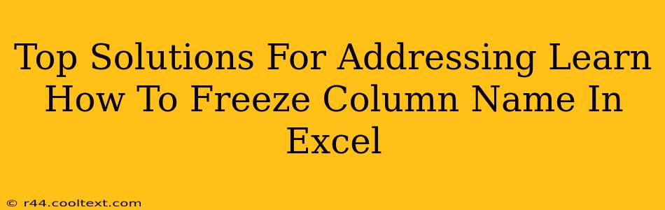 Top Solutions For Addressing Learn How To Freeze Column Name In Excel