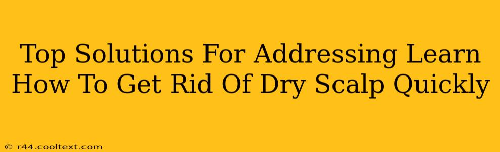 Top Solutions For Addressing Learn How To Get Rid Of Dry Scalp Quickly