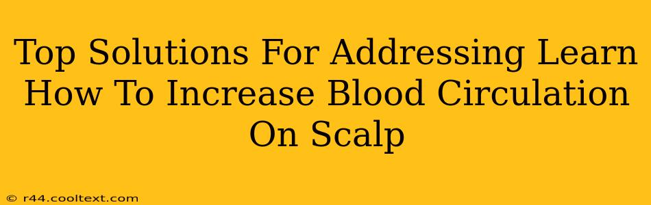 Top Solutions For Addressing Learn How To Increase Blood Circulation On Scalp