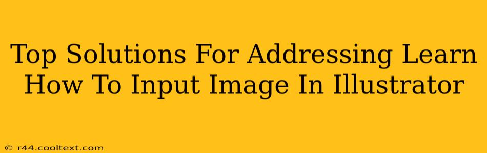 Top Solutions For Addressing Learn How To Input Image In Illustrator