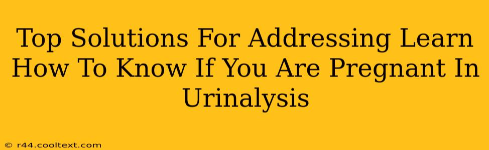 Top Solutions For Addressing Learn How To Know If You Are Pregnant In Urinalysis