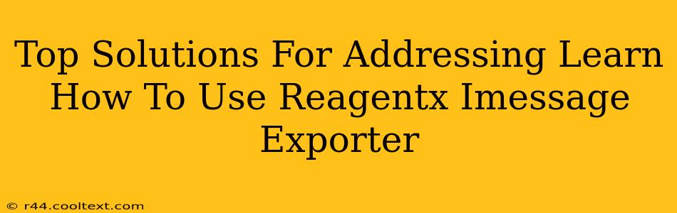 Top Solutions For Addressing Learn How To Use Reagentx Imessage Exporter