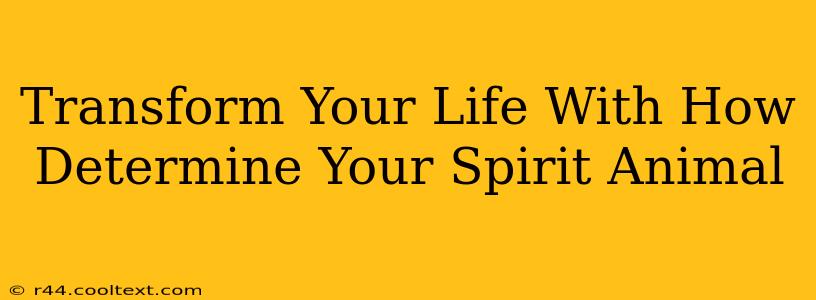 Transform Your Life With How Determine Your Spirit Animal