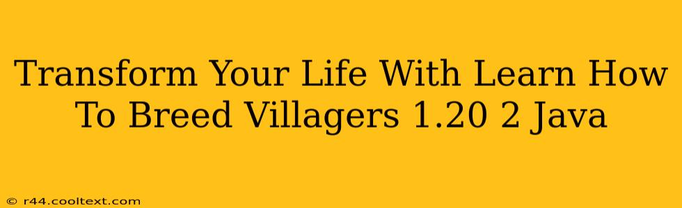 Transform Your Life With Learn How To Breed Villagers 1.20 2 Java