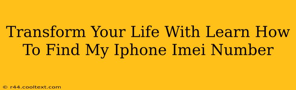 Transform Your Life With Learn How To Find My Iphone Imei Number