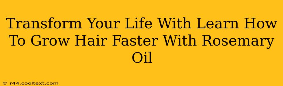 Transform Your Life With Learn How To Grow Hair Faster With Rosemary Oil