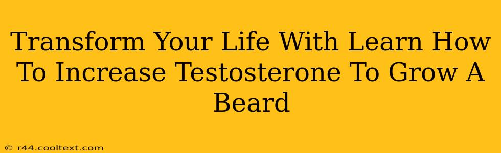 Transform Your Life With Learn How To Increase Testosterone To Grow A Beard