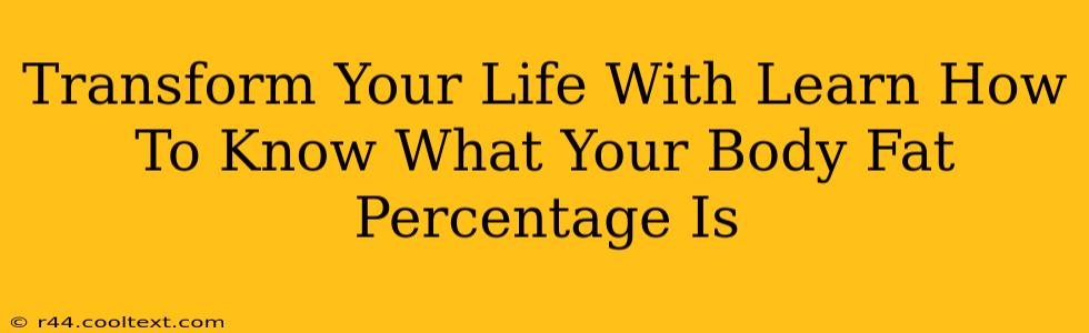 Transform Your Life With Learn How To Know What Your Body Fat Percentage Is