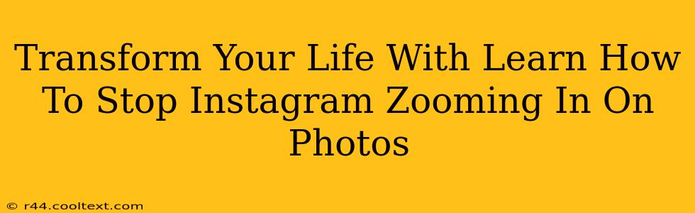 Transform Your Life With Learn How To Stop Instagram Zooming In On Photos