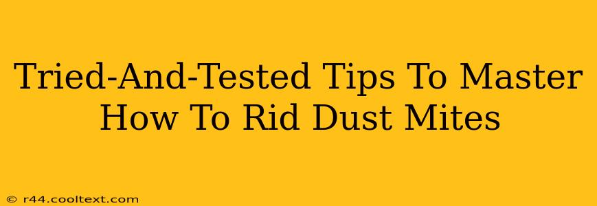 Tried-And-Tested Tips To Master How To Rid Dust Mites