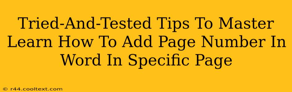 Tried-And-Tested Tips To Master Learn How To Add Page Number In Word In Specific Page