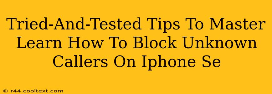 Tried-And-Tested Tips To Master Learn How To Block Unknown Callers On Iphone Se