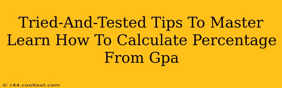 Tried-And-Tested Tips To Master Learn How To Calculate Percentage From Gpa