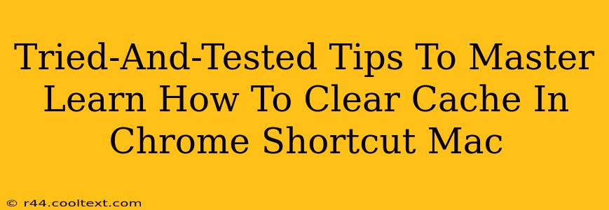 Tried-And-Tested Tips To Master Learn How To Clear Cache In Chrome Shortcut Mac