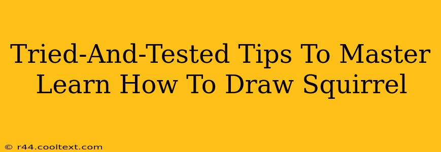 Tried-And-Tested Tips To Master Learn How To Draw Squirrel