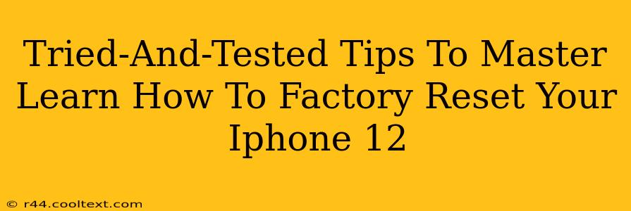 Tried-And-Tested Tips To Master Learn How To Factory Reset Your Iphone 12