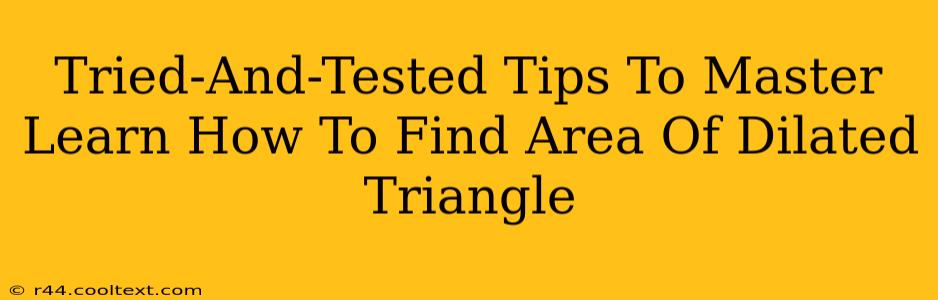 Tried-And-Tested Tips To Master Learn How To Find Area Of Dilated Triangle