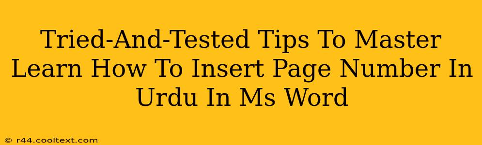 Tried-And-Tested Tips To Master Learn How To Insert Page Number In Urdu In Ms Word