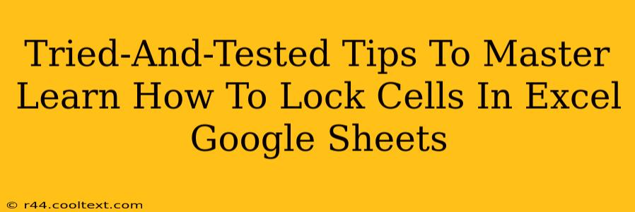 Tried-And-Tested Tips To Master Learn How To Lock Cells In Excel Google Sheets