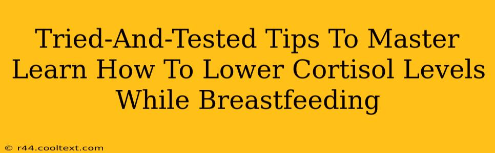 Tried-And-Tested Tips To Master Learn How To Lower Cortisol Levels While Breastfeeding