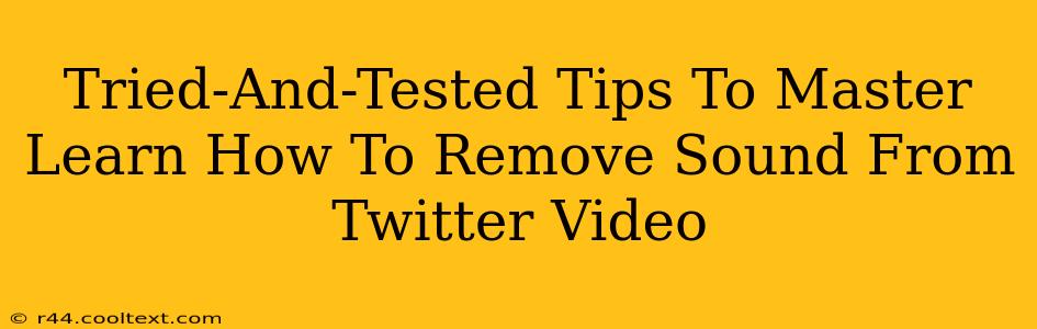 Tried-And-Tested Tips To Master Learn How To Remove Sound From Twitter Video