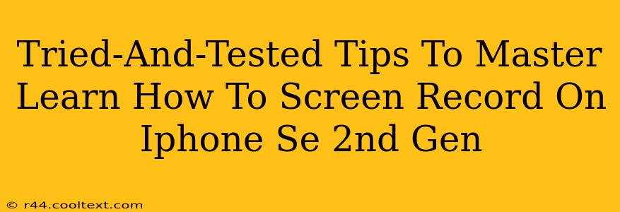 Tried-And-Tested Tips To Master Learn How To Screen Record On Iphone Se 2nd Gen