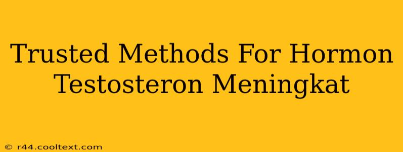 Trusted Methods For Hormon Testosteron Meningkat