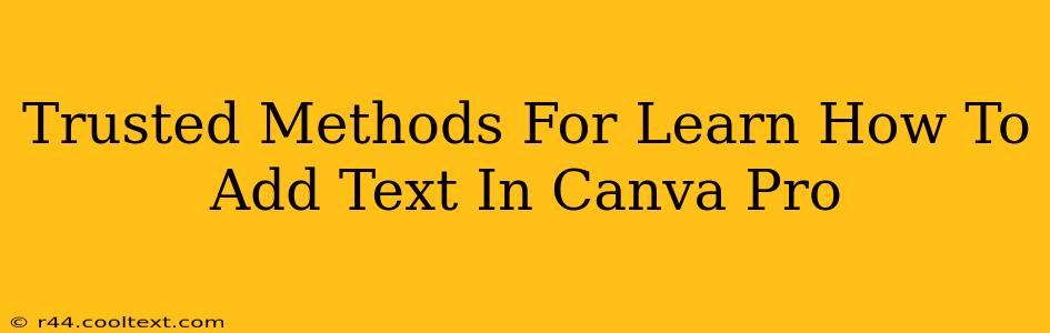 Trusted Methods For Learn How To Add Text In Canva Pro