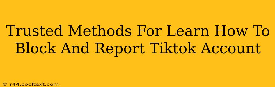 Trusted Methods For Learn How To Block And Report Tiktok Account