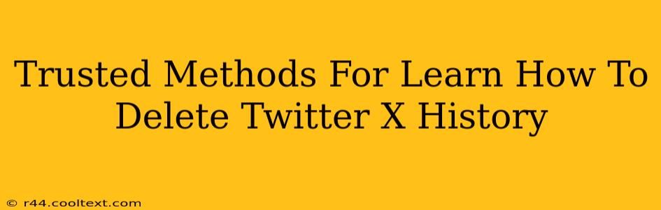 Trusted Methods For Learn How To Delete Twitter X History