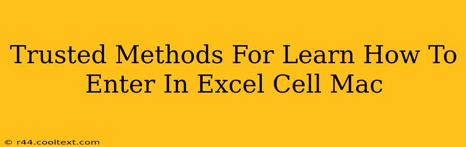 Trusted Methods For Learn How To Enter In Excel Cell Mac